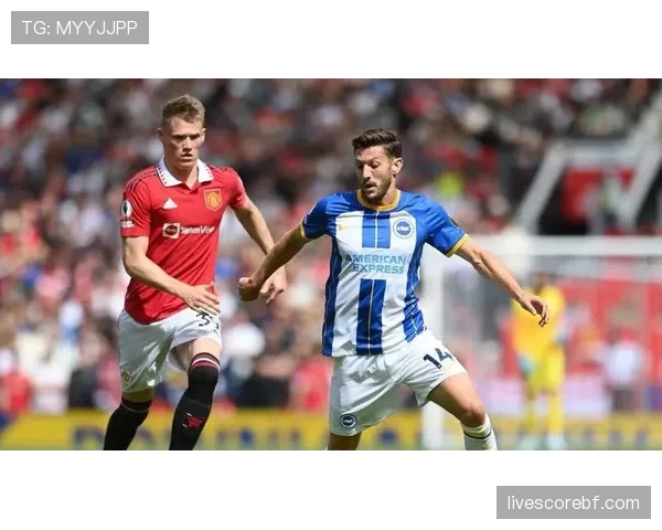 布莱顿动态4-4-2体系，乌加特主防格罗斯主控分工明确